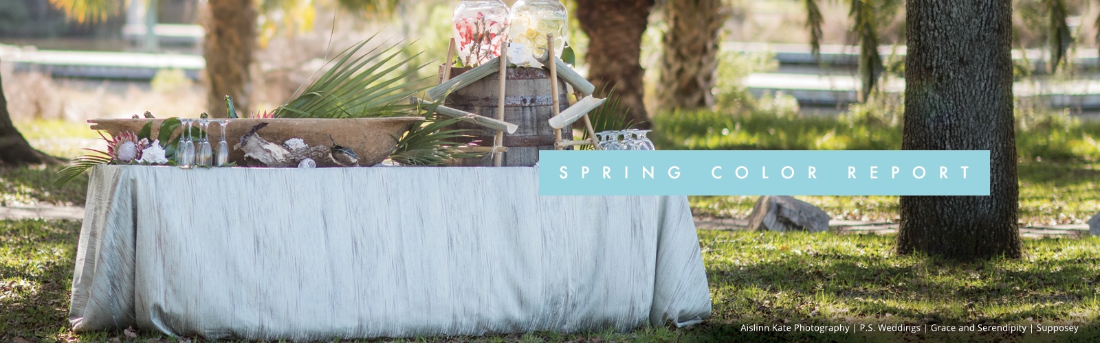 bbj-spring17colorreport-landingpagebanner-new.jpg