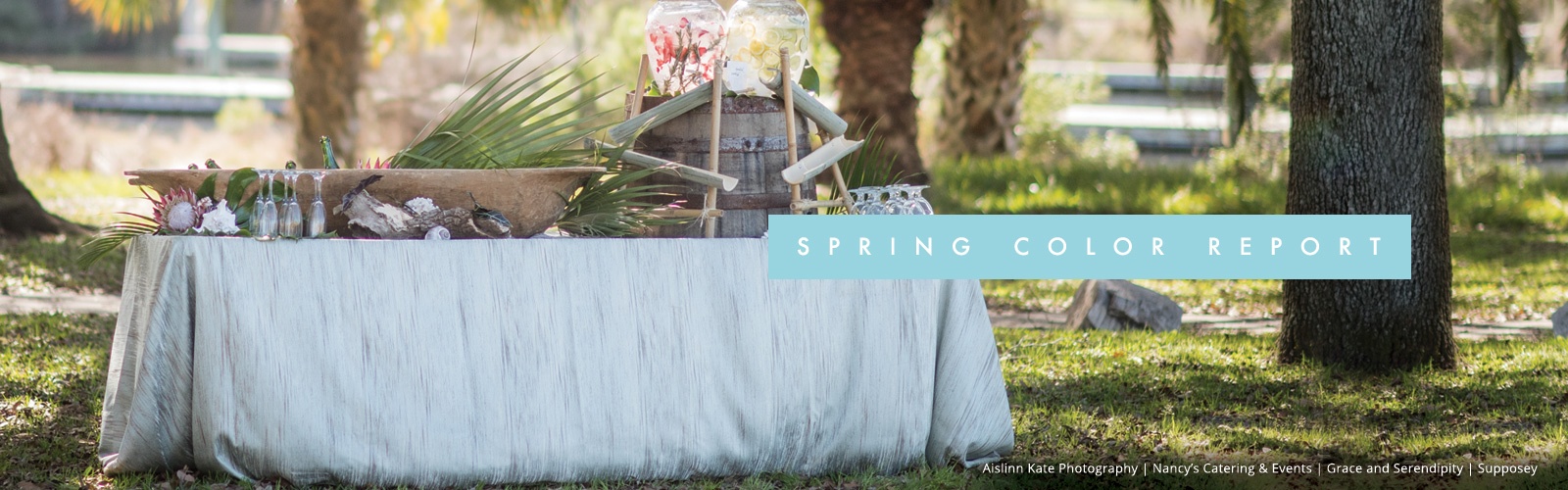 bbj-spring17colorreport-landingpagebanner2.jpg